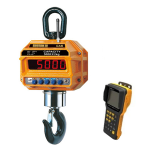vesy-kranovye-cas-1-thd-caston-3-s-radiokanalom-1-0