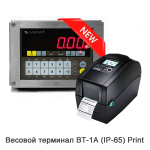 vesy-platformennye-mera-vtp-p-4-24-9