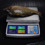 vesy-torgovye-m-er-329-as-325-ip67-fisher-lcd-vlagozashhishhennye-2