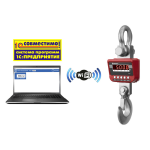vesy-kranovye-massa-ekm-300032-w-vysokotochnye-c-wi-fi-5