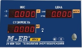 plenochnaja-panel-perednjaja-m-er-223-as-led