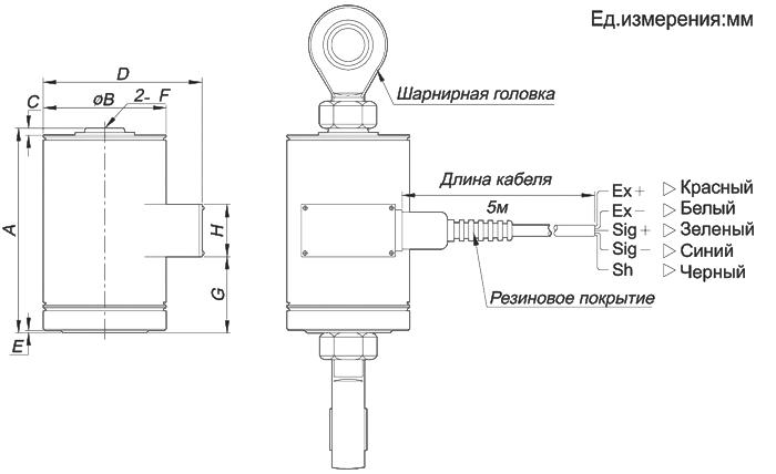 Размеры тензодатчиков CAS CT